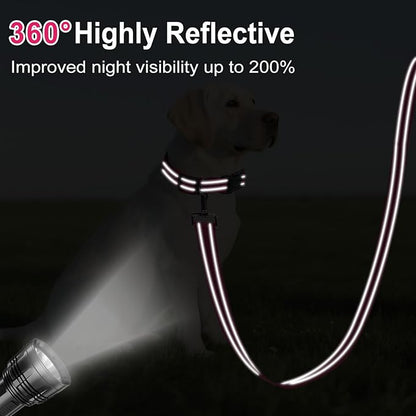 6FT Reflective Nylon Dog Leash with Soft Padded Handle for Walking, Running and Training, Supports Small Medium and Large Dogs (Hotpink, 3/4Inch Wide)