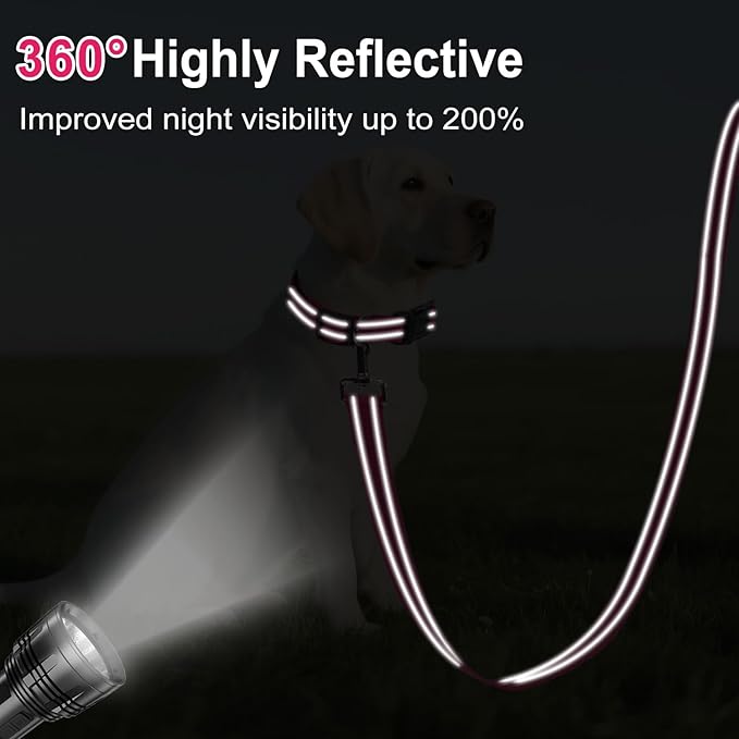 6FT Reflective Nylon Dog Leash with Soft Padded Handle for Walking, Running and Training, Supports Small Medium and Large Dogs (Hotpink, 1 Inch Wide)