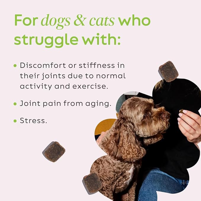 Super Snouts Hemp & Joint Chew for Dogs & Cats, 30 Chews (Up to 60 servings) – Made in USA Hip & Joint Supplement with Green Lipped Mussels, Hemp Helps Calms Joint Inflammation & Relief Joint Pain
