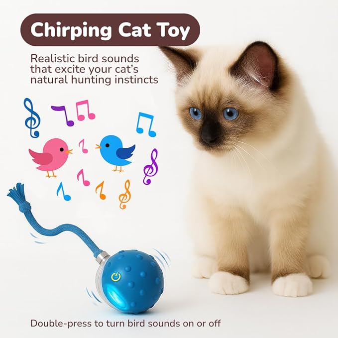 Interactive Cat Toy Ball for Indoor Cats – Fast Rolling on Carpet, Motion Activated with Chirping Sounds, Smart Play Toy (Turquoise)