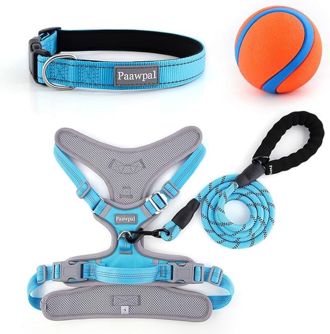Paawpal Adjustable Dog Harness - No Pull, Reflective, Soft Padded for Small, Medium, Large Dogs - Includes Leash and Collar Turquoise M
