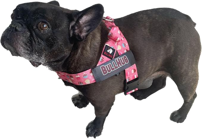 BULLHUG Adjustable Dog Harness– No Pull, No Choke – for English Bulldogs, French Bulldogs, Pugs & Broad-Chested Breeds – Easy, Safe Walks (Cups, Large)