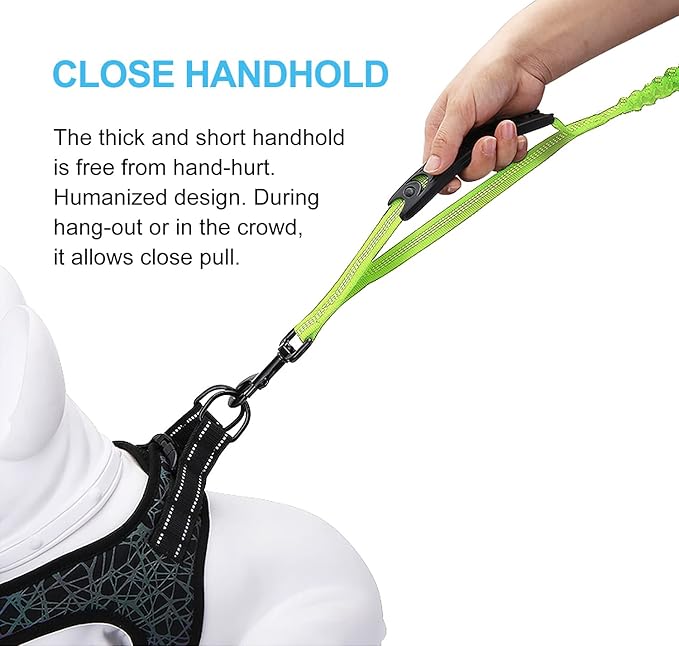 LEADSOM 6FT Highly Reflective Heavy Duty Elastic Bungee Medium and Large Dog Leash Shock Absorbing with Comfortable Padded Handle and Traffic Handle Suitable for Training