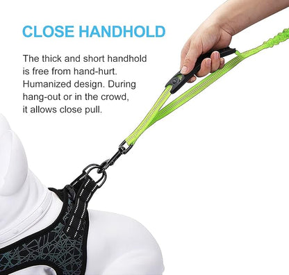 LEADSOM 6FT Highly Reflective Heavy Duty Elastic Bungee Medium and Large Dog Leash Shock Absorbing with Comfortable Padded Handle and Traffic Handle Suitable for Training
