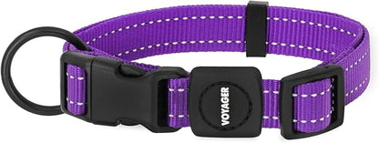 Best Pet Supplies Voyager Reflective Dog Leash or Collar with Neoprene Handle, for Small, Medium, and Large Breed Puppies, Cute and Heavy Duty for Walking, Running and Training - Purple, L
