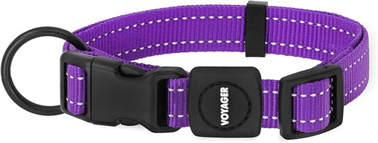 Best Pet Supplies Voyager Reflective Dog Leash or Collar with Neoprene Handle, for Small, Medium, and Large Breed Puppies, Cute and Heavy Duty for Walking, Running and Training - Purple, L