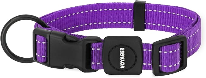 Best Pet Supplies Voyager Reflective Dog Leash or Collar with Neoprene Handle, for Small, Medium, and Large Breed Puppies, Cute and Heavy Duty for Walking, Running and Training - Purple, M