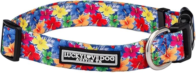Lucky Love Dog - Adjustable Dog Collar with Easy Click Buckle for Small Ones, Durable, & Comfortable for Male & Female Dogs, Pet Collar for Puppies & Adult Dogs - Hana, XS