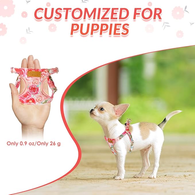 SlowTon Dog Harness Small Sized Dog - Soft XXS Dog Harness and Leash Set No Pull No Chock, Adjustable Lightweight Puppy Harness for XS Small Medium Dogs Cats (Pink Rose, M)