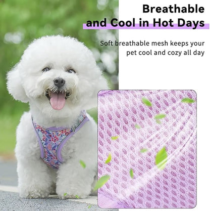 Step in Dog Harness and Leash Set, Flower Adjustable Easy Walk Puppy Harnesses, Soft Mesh Pet Vest Harness Small Size Dog Adjustable No Pull Dog Harness for Small Medium Dogs(Pink, XS)