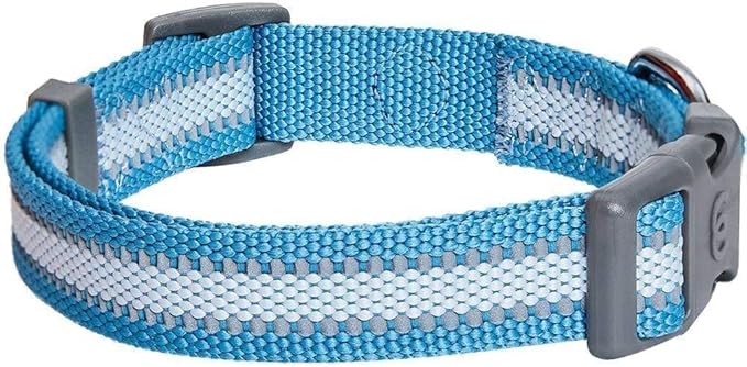 Blueberry Pet Essentials Matching Small Dog Collar | Adjustable Classic Solid Color Nylon Dog Collars for Small Dogs | Reflective Sky Blue Dog Collar for Small Dogs