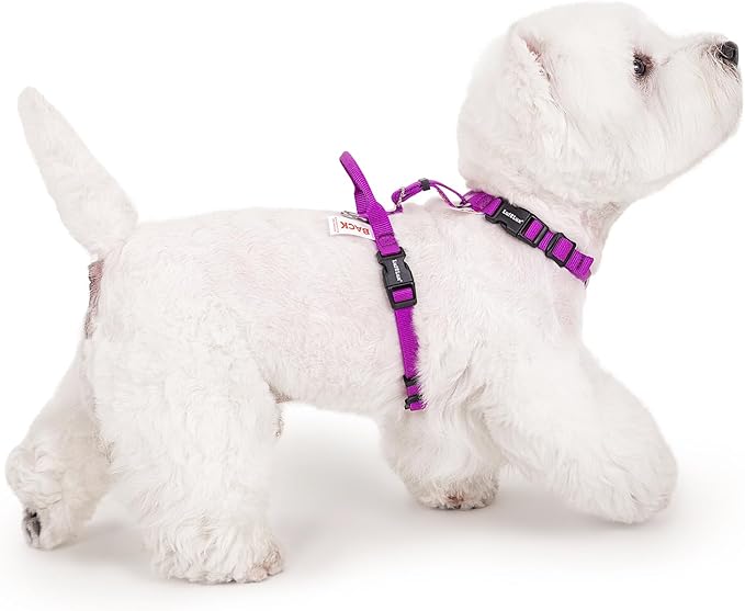 Non Restrictive No Pull Dog Harness, Neck Buckle Desgin, Lightweight Easy Walk Freedom Harness, Keep Balance, Sewn-in Instructions Labels for Easy Use, Small Dogs Chest(17-23inches) Purple