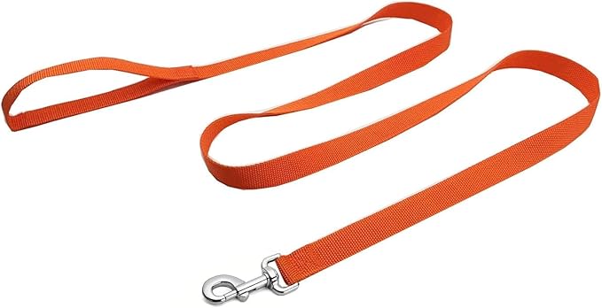 Strong Nylon Dog Leash, 4FT/ 5 FT/ 6FT Dog Leashes for Small Medium Dogs