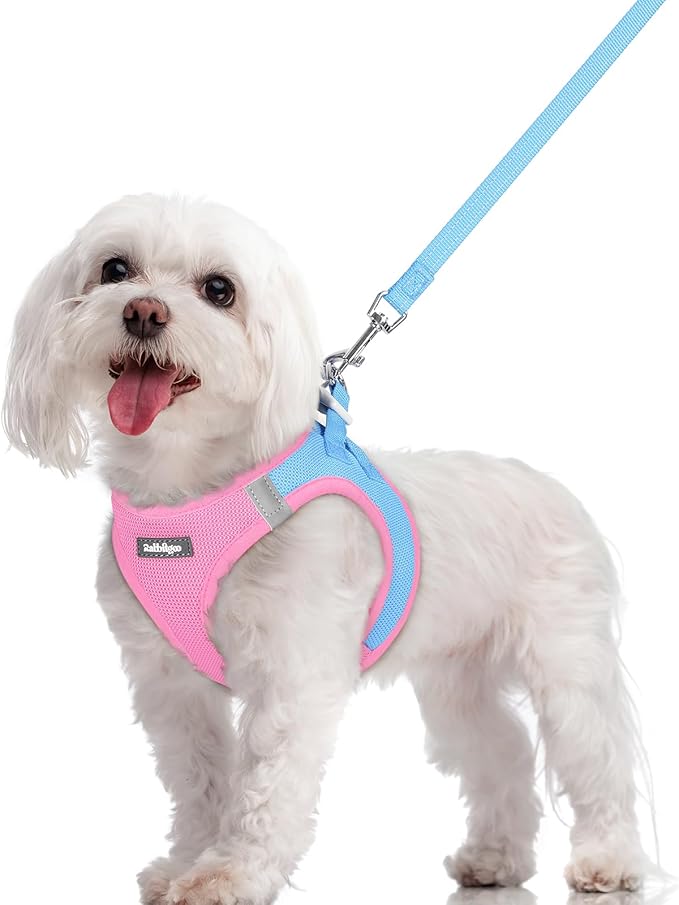 rabbitgoo Dog Harness Small Sized and Leash Set, Step in Soft Light Puppy Vest, Breathable Mesh Pet Harness, Reflective for Safe Easy Walking, Blue & Light Pink M