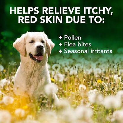Vet's Best Allergy Itch Relief Dog Shampoo, Oatmeal Dog Shampoo for Itchy Skin, Cleans and Relieves Discomfort from Seasonal Allergies, Anti Itch Dog Shampoo, 16 Oz