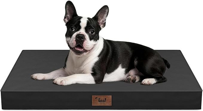 Tail Stories Outdoor Dog Bed for Small Dogs, Waterproof Dog Crate Bed for Medium Dogs Cats, Orthopedic Egg Crate Foam Pet Bed with Washable Removable Oxford Cover, Black