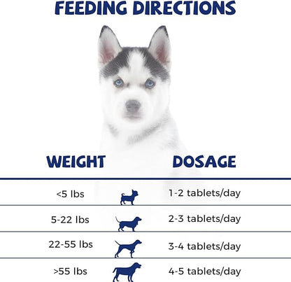 HAPWAG Hip and Joint Care Supplement with Glucosamine, Chondroitin, MSM for All Breeds and Ages Dogs - Chicken Flavor - 100 Chews