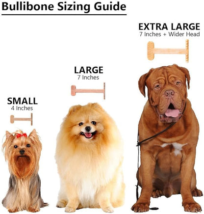 Bullibone Nylon Dog Chew Toy for Aggressive Chewers - Dental Hygiene Bone with Beef Flavor, Durable Tough Chew Toys for Large Dogs, Indestructible Dog Bone - 2 Pack
