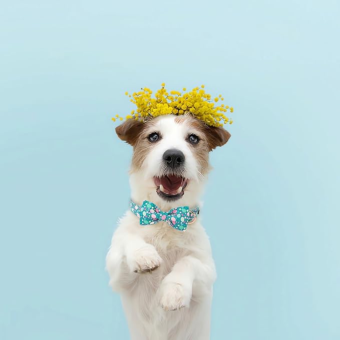 Lionet Paws Easter Green Dog Collar,Eggs Dog Collar for Small Dogs, Adjustable Cotton Flower Pet Puppy Collars for Small Dogs