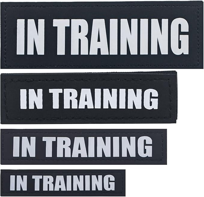 2Pack Removable Service Dog Patch, Black Patches with Hook Backing for Dog Harness, Vest Patches for Dogs, in Training-XS