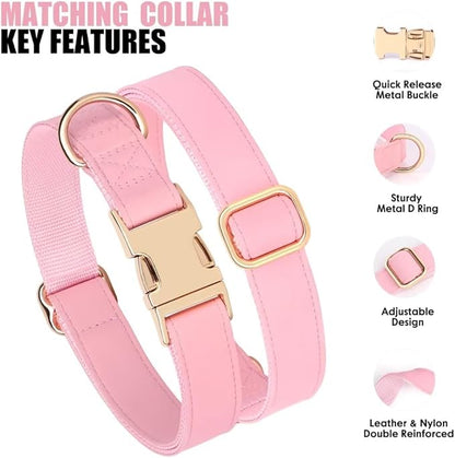 PET ARTIST Soft PU Leather Dog Collar and Leash Set, Bright & Stylish 5FT PU Leather Leash and Collar Set, Durable Pet Collars with Quick Release Metal Buckle for Small Dogs,Pink,S(9"-14")