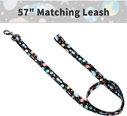 Ihoming Puppy Collar and Leash Set for Daily Outdoor Walking Running Training, Space Design for Extra Small Boys Girls Dogs Cats Pets, XS-Up to 10LBS
