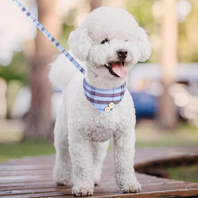 KOOLTAIL Small Dog Collar and Leash Set with Bowtie and Bells - Cute Puppy Bandana Collar and Leash for Male with Classic Plaid Pattern, Soft Leather Tangle Free Leashes for Small Dogs Boys Girls,Blue