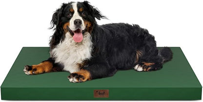 Tail Stories Outdoor All Weather Dog Bed, XXL Waterproof Dog Bed for Large Dogs, Orthopedic Egg Crate Foam Pet Mat with Removable Washable Oxford Cooling Cover, 47x29 Inch, Dark Green
