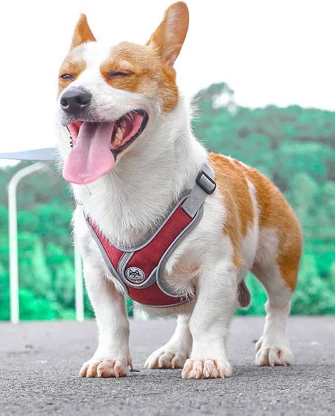 Puppy Harness and Leash Set,No Pull Adjustable Step in Soft Mesh Vest Harness,Easy Walk Reflective Pet Harness with Padded Handle for Walking Training Small Medium Large Dogs and Cats (Red, XS)