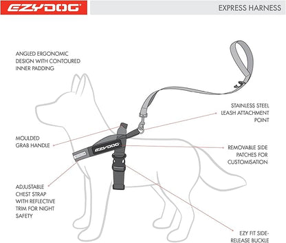 EzyDog Express Dog Harness - Adjustable Dog Harness for Large, Medium, and Small Dogs with Padded Ergonomic Anti-Chafing Design, Grip Handle, & Easy Side Buckle (Gray, XL)