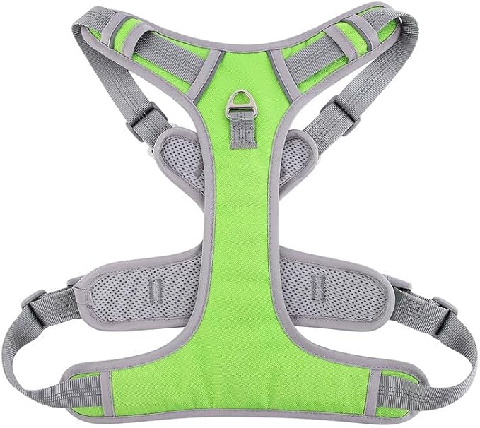 Paawpal Adjustable Dog Harness - No Pull, Reflective, Soft Padded for Small, Medium, Large Dogs - Includes Leash Green XL
