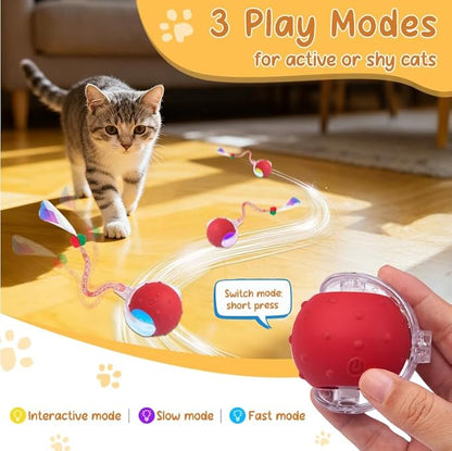 Interactive Cat Ball Toy, Chirping Motion Activated Electric Rechargeable Cat Toy with 2 Replaceable Tails, Self Play Hunting Rolling Indoor Cat Toys for Bored Adult Cats & Kittens - Boredom Busters