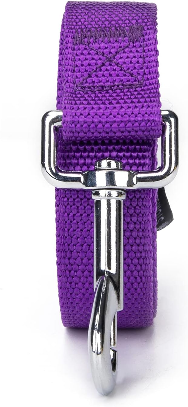 Siumouhoi Strong Durable Nylon 10ft Long Dog Training Leash, Traction Rope, 1 Inch Wide, for Small and Medium Dog (Purple, 10 Feet)