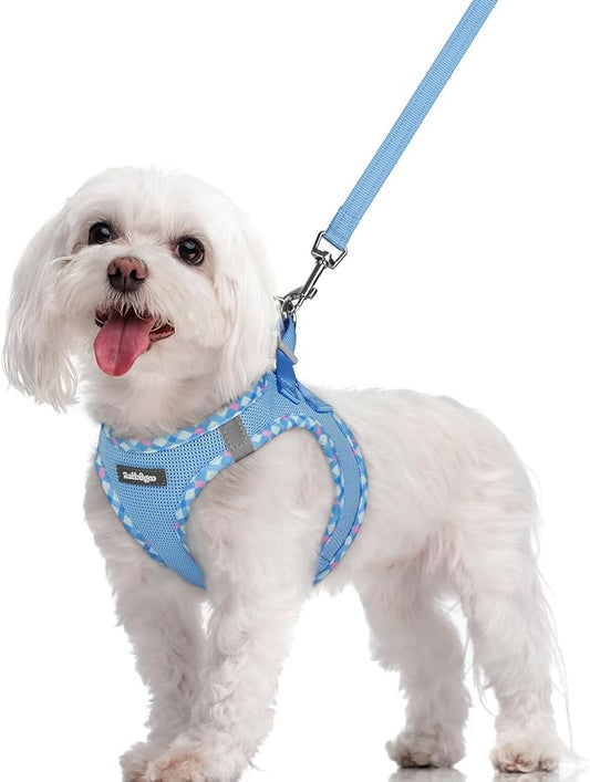 rabbitgoo Dog Harness Small Sized and Leash Set, Step in Soft Light Puppy Vest, Breathable Mesh Pet Harness, Reflective for Safe Easy Walking, Blue & Plaid Trim M