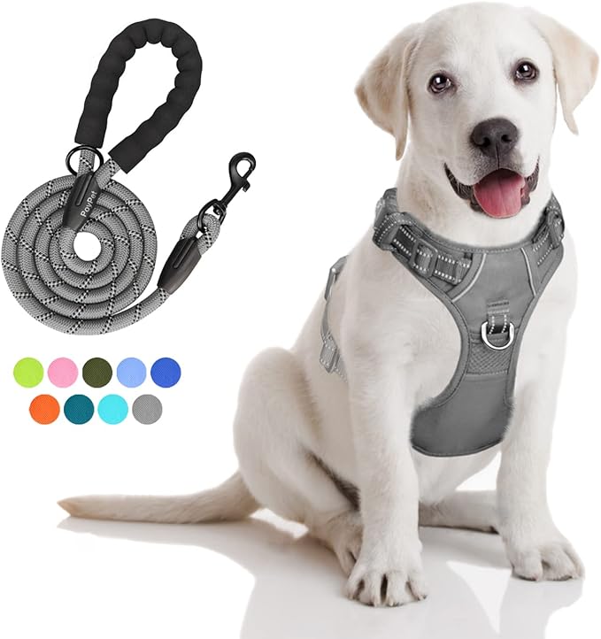 PoyPet No Pull Dog Harness and 5 Feet Leash Set, Release on Neck Reflective Adjustable Pet Vest, Front & Back 2 D-Ring and Soft Padded Pet Harness with Handle for Small to Large Dogs(Grey,S)