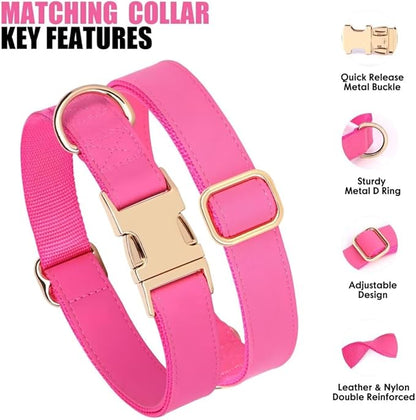 PET ARTIST Soft PU Leather Dog Collar and Leash Set, Bright & Stylish 5FT PU Leather Leash and Collar Set, Durable Pet Collars with Quick Release Metal Buckle for Medium Dogs,Hot Pink,M(13-19")