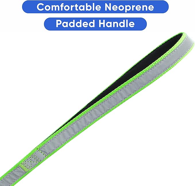 Pawtitas Personalized Green Dog Leash 6 ft Custom ID Lead for Dogs & Puppies Reflective Comfortable Padded Handle Embroidered Name & Phone Number