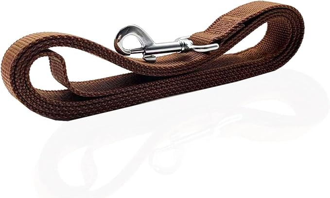Nylon Dog Leash 4 Ft 5 Feet 6 Foot Long, Walking Training Dog Leashes for Medium Large Dogs, 1 Inch Wide (1" X 5 ft, Brown)