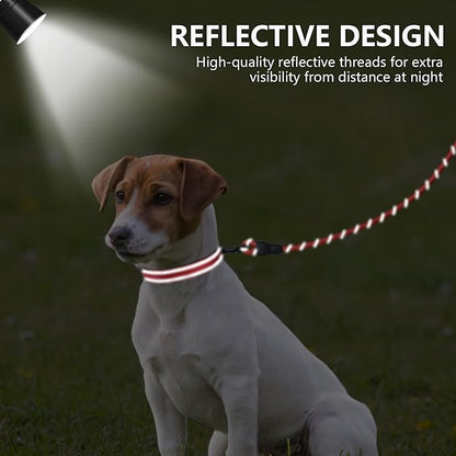 Dynmeow Reflective Dog Collar and Leash Set, 6FT Strong Climbing Rope Leash with Padded Handle, Adjustable Pet Collar with Soft Neoprene Padding for Small Medium Dogs, Red, S