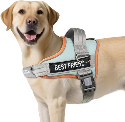 AUROTH Dog Harness and Leash Set, Soft Padded Service Dog Vest with 5.25FT Dog Leash, No Choke, Easy On Pet Vest, Adjustable Reflective No Pull Dog Harness for Large Dogs, Easy Walking and Training