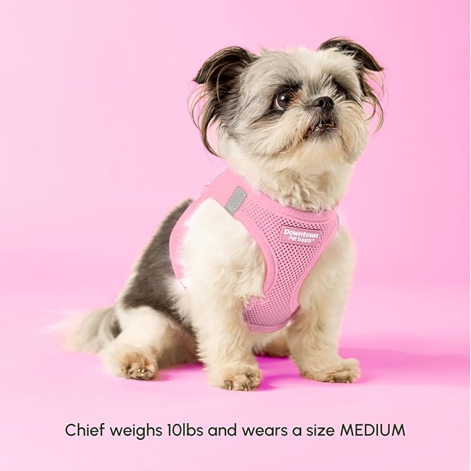 Downtown Pet Supply Step in Dog Harness for Small Dogs - Adjustable, Escape Proof Dog Harness with Reflective Trim - All-Weather, Fast-Drying Padded Mesh Fabric - Baby Pink, XXS