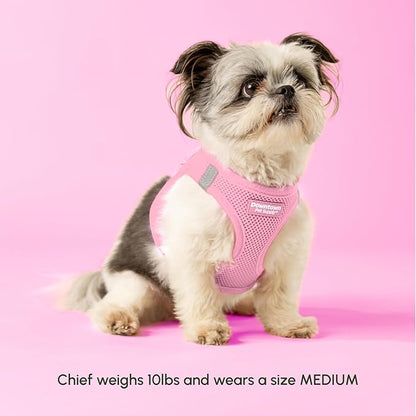 Downtown Pet Supply Step in Dog Harness for Medium Dogs - Adjustable, Escape Proof Dog Harness with Reflective Trim - All-Weather, Fast-Drying Padded Mesh Fabric - Baby Pink, M