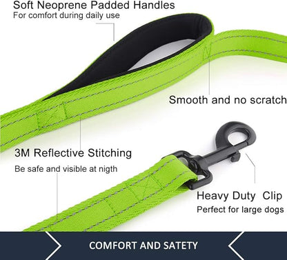 Plutus Pet Double Handle Dog Leash 6ft Long, Padded 2 Handle, Heavy Duty, Reflective Training Leash for Medium Large Dogs, Dual Handle Lead (Green)