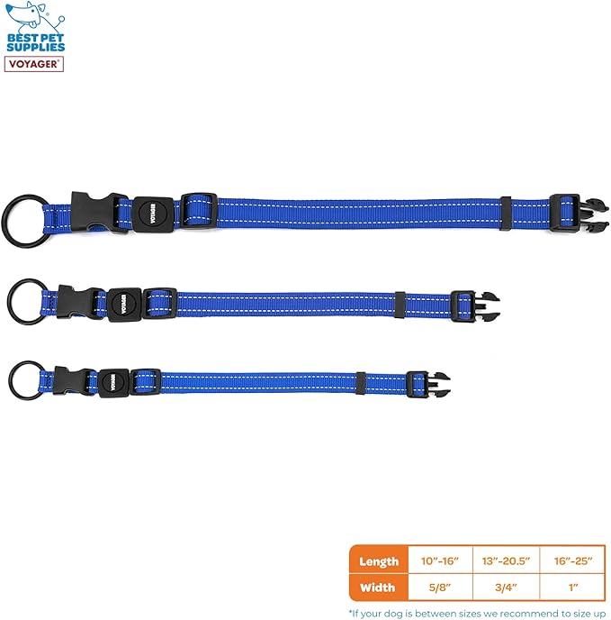 Best Pet Supplies Voyager Reflective Dog Leash or Collar with Neoprene Handle, for Small, Medium, and Large Breed Puppies, Cute and Heavy Duty for Walking, Running and Training - Royal Blue, L
