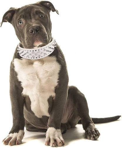 Hoot PU Leather Adjustable Spiked Studded Dog Collar 2" Wide 43 Spikes (L(Neck 21"-24"), White)