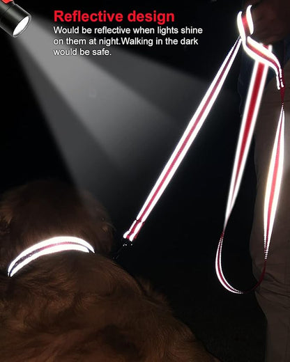 Joytale Double-Sided Reflective Dog Leash, 4 FT, Padded Handle Nylon Heavy Duty Leashes for Small & Medium Dogs Walking, Red