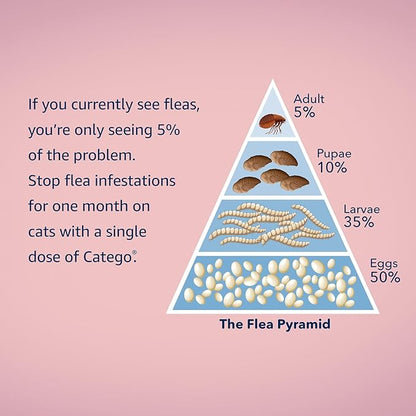 Catego for Cats Flea and Tick Treatment & Prevention (Over 1.5 lbs) 6-Month Supply