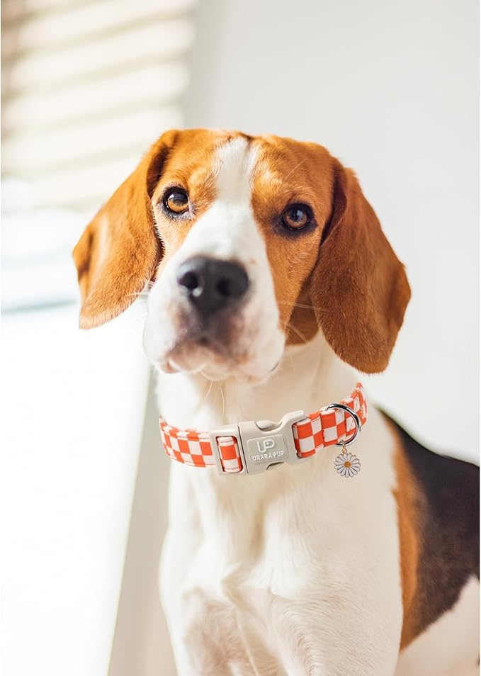 UP URARA PUP Gingham Fall Dog Collar – Adjustable Orange Picnic Checkered Dog Collar with Daisy Pendant, Classic Autumn Dogs Collars for Girl Boy Dogs