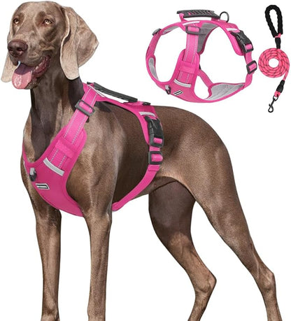 Dog Harness No Pull Adjustable Reflective,for Medium and Large Small Dog with Leash 59.06in (Fuscia, XS)