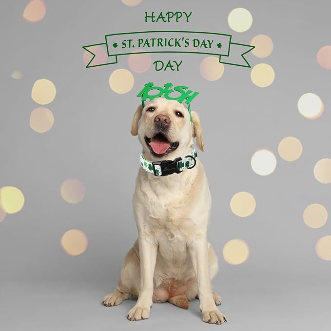 ARING PET St Patrick's Day Dog Collar, Cute White Clovers Pet Collars with Quick Release Buckle for Puppy Small Medium Large Boy Girl Dogs-L